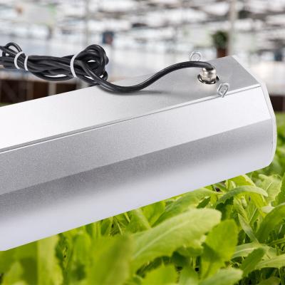 China VEG+BLOOM+COB 110V 220V LED Grow Light 90leds High Efficiency LED Light Bar Lamp Waterproof for Indoor Plants Growing for sale