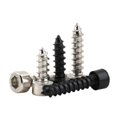 China Pan Cheap Cup Head Drywall Black Carbon Steel Plug Screw Micro Stainless Steel Tapping Screws for sale