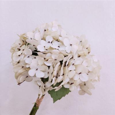 China New Fashional 7 Design Artificial Silk Flower Heads Hydrangea Decorative Silk Flower Artificial Flowers for sale