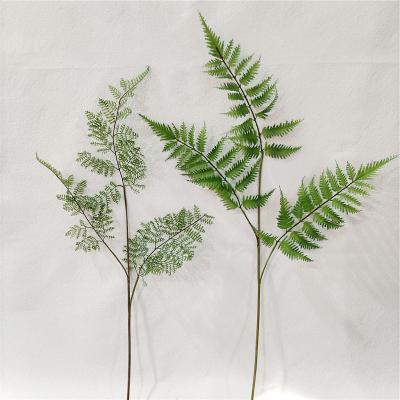 China Fashional Wholesale Artificial Green Artificial Fern Plant Home Decoration for sale