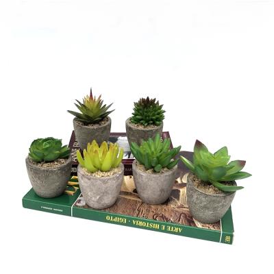 China Morden Customize Bonsai Plastic Artificial Succulent Potted Plant Artificial Plants For Home Decoration for sale