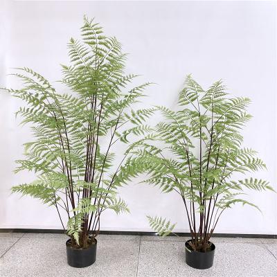 China Newest Fashional New Decorative Artificial Large Fern Tree Plant Home Decoration Fern Tree Plant Home Decoration for sale