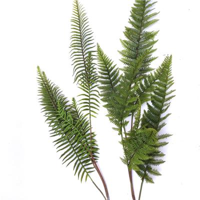 China Fashional Plant Artificial Fern Long Stem Hot Selling Use For Putting In Vase for sale