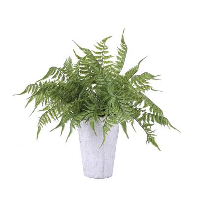 China Fashional Jungle Series Decorative Artificial Grass Bush Silver Fern Plastic Plastic Leaf Bush for sale