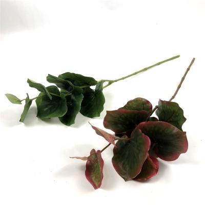 China Fashional Small Eucalyptus Flowers Botanical Wall Flowers Grass Greenery Artificial Plants Garden Decor for sale