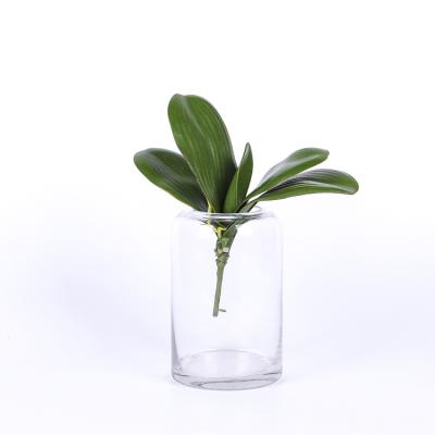 China Fashional Custom Artificial Tropical Real Touch Leaf Phalaenopsis Orchid Leaf Plastic Plants for sale