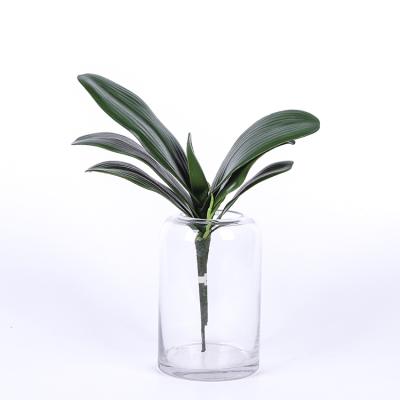 China Fashional High Quality Custom Design Real Touch Green Artificial Orchid Leaf Artificial Phalaenopsis Orchid Leaves Plants for sale