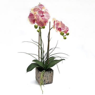 China Fashional new design11flower heards artificial orchid in pot customized real color bonsai touch flowers for sale