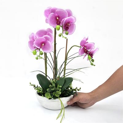 China Fashional Customized New Design Artificial Pot Flower Bonsai Touch Color Real Orchid for sale