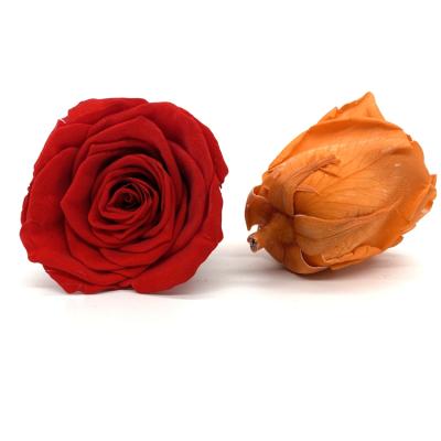 China Valentine's Day Gift Carina Preserved Flowers Eternal Preserved Roses Head 3-4cm Real Rose for sale