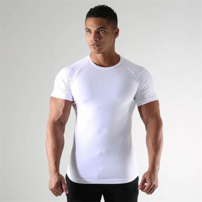 China Breathable Mens Short Sleeve Sports Fitness T-shirt Skin-Friendly Gym Comfortable Round Neck Tops Lightweight Board Sweater T-shirt Wholesale for sale