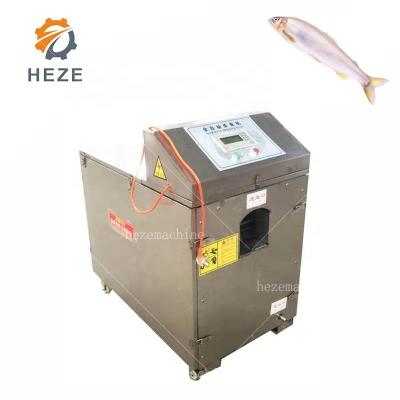 China Fish Processing Industries Stainless Steel High Efficiency Fish Separator Machine Crab Shrimp Meat Processing Bone Machine for sale