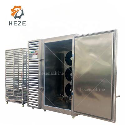 China Food Freezing Freezer Air Jet Freezer Small Quick Freezing Machine for Fish and Chicken /Shock for sale