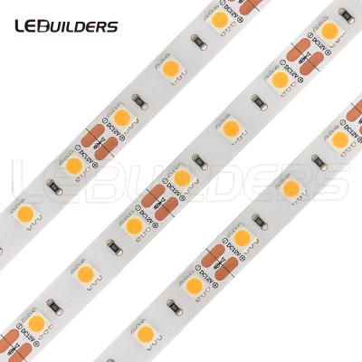 China 5050 smd decorative lighting CRI 97 CRI 98 full spectrum led strip for sale