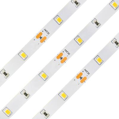 China Decorative LED Lighting Strip 2835 SMD 5m 150leds 550lm CRI80/90 12V/24V for Decorative Lighting for sale