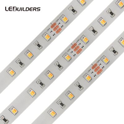 China Decorative Lighting 2 In 1 Dual Chip 3527 3528 Bicolor Led CCT Adjustable Led Strip for sale