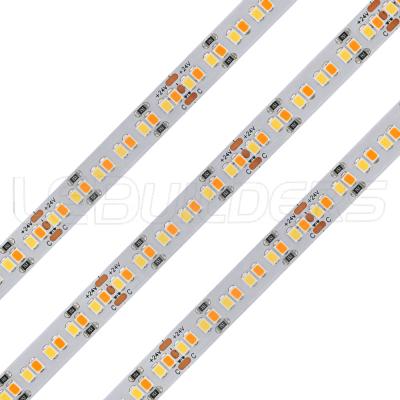 China Super Bright Dot Decorative Free Lighting Adjustable Two-color Color Temperature CCT 1800K to 6500K 95cri 90cri 2835 SMD 240leds/m 24V Led Strip Light for sale