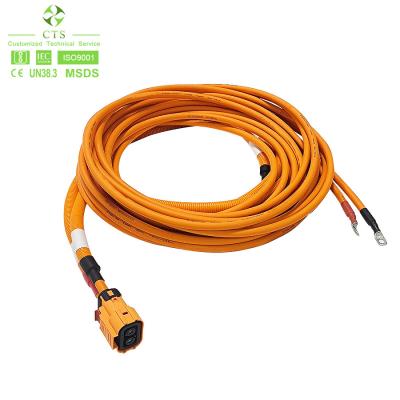 China CTS Industrial Electric Vehicle Motorcycle Cable Assembly Car Wiring Harness for sale