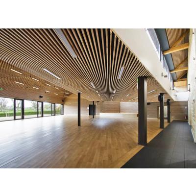 China Contemporary Office Metal Ceiling Perforated Drawing Tiles New Artistic Ceilings Customization Designs for sale