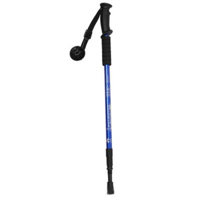 China Pole Walking Stick Plastic Outdoor Hiking Camping Nordic Walking Stick for sale