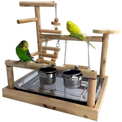 China Viable Pet Parrot Play Stand With Cup Bird Toys Deck Swing Climbing Hanging Ladder Wooden Cockatiel Playground Bird Perches Parakeet for sale