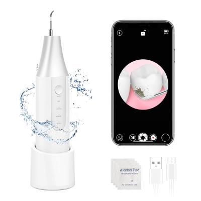 China Convenient Eco-friendly Ultrasonic Electric Dental Calculus Tooth Cleaner OEM Teeth Cleaning Tool Kit With USB Rechargeable for sale