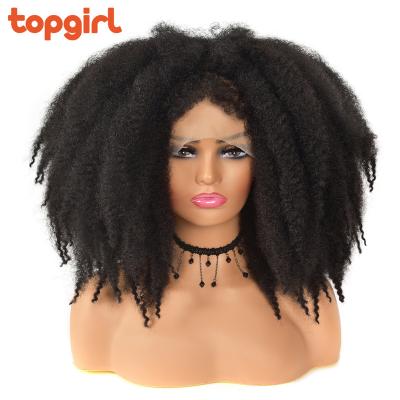 China Short Afro Curly Curly Crochet Hair Afro Lace Front Synthetic Wigs 14