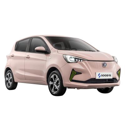 China New Energy Professional High Quality Vehicles Cheap Changan Benben Electric Car For Adults R19 for sale