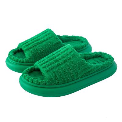 China Hot Selling Fashion Trend Ins Women Spring Green Indoor Slippers Pillow Slippers For Winter for sale