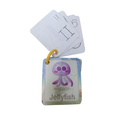 China Entertaiment Playing Cards High Quality 3D Studying Memory Card Learning Flash Cards With Manufacturer in China for sale