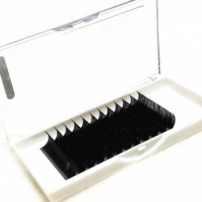 China Different Best Price Ellipse Eyelash Delicate Silk Extension Real Lashes Different Eyelash Extensions for sale