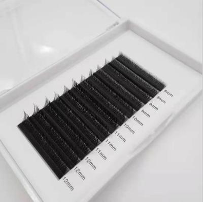 China YY Thick Lash Extensions Private Labels Cluster Whips Volume Eyelash for sale