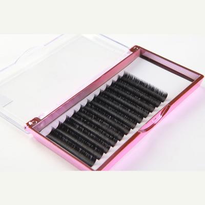 China Mega Long Fan Lash Extension Natural Smart Easy Volume Lashes One Second Bloom Lashes for sale