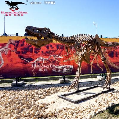 China Park High Quality Skeleton Dinosaur Replicas Model For Dino Museum for sale