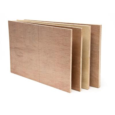 China Birch Plywood Hardwood Plywood Factory Manufacture 18mm Modern High Quality Plywood for sale