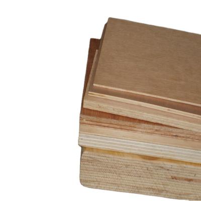 China Birch Plywood Hardwood Plywood Factory Manufacture 18mm Modern High Quality Plywood for sale