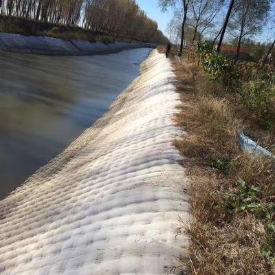 China Modern geotextile mattress geofabriform for river bank erosion control for sale