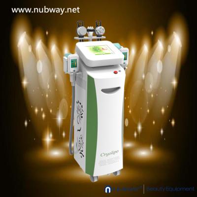 China nubway cryolipolysis for weight loss for sale