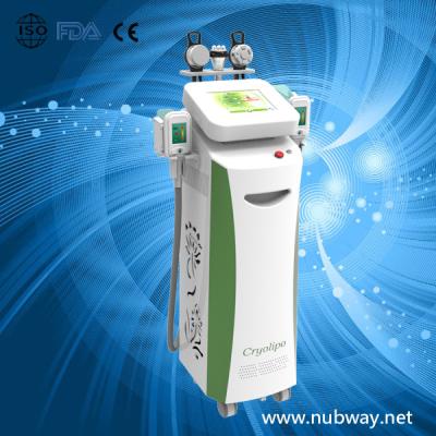 China fat freeze cryolipolysis beauty instruments for sale