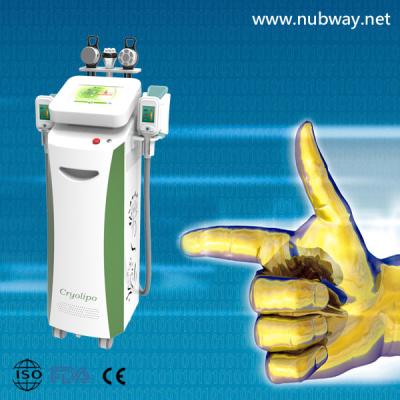 China 4 heads cryolipolysis for sale