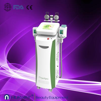 China cryolipolysis machine cheap for sale