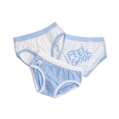 China 2021 High Quality Breathable Cute Baby Briefs Cotton Boys Underwear Teenage Underwear New for sale