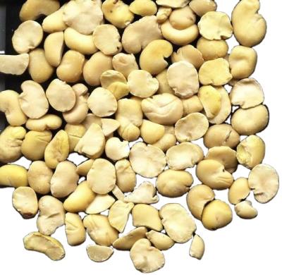 China Dry Fava Beans/Fava Beans Peeled/Slit Fava Beans for sale