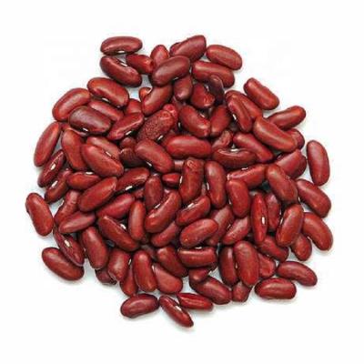 China Dried high quality types of dark red kidney bean for sale