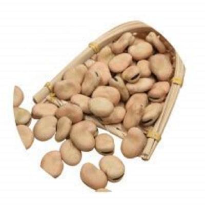 China 2021 dry culture 40-50 50-60 60-70 70-80 pcs/100g dried broad beans/Fava Beans for sale