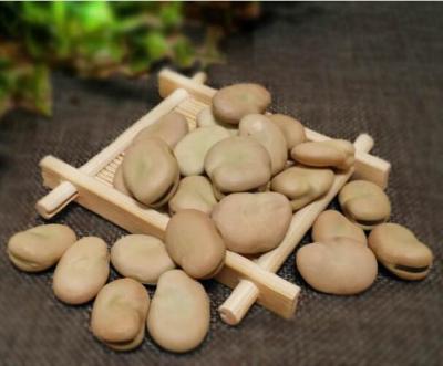 China Fava Beans dry price of 2021 crop beans for sale for sale