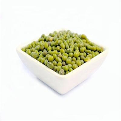 China New Culture Dried Chinese Green Mung Beans for sale