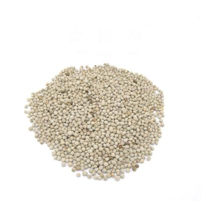 China Bird stuffs high quality perilla seeds for oilseeds for bird for sale