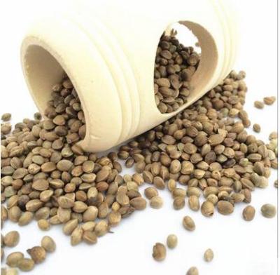 China Bird feeding hemp seed crop2020 Gansu new origin best price best price bird stuffs bird feed for sale