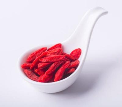 China Medicinal Organic Gansu Wolfberry Goji Berry for sale